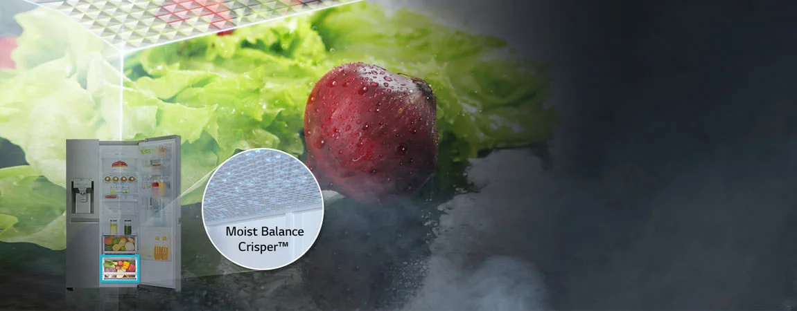 Moist-Balance- Crisper