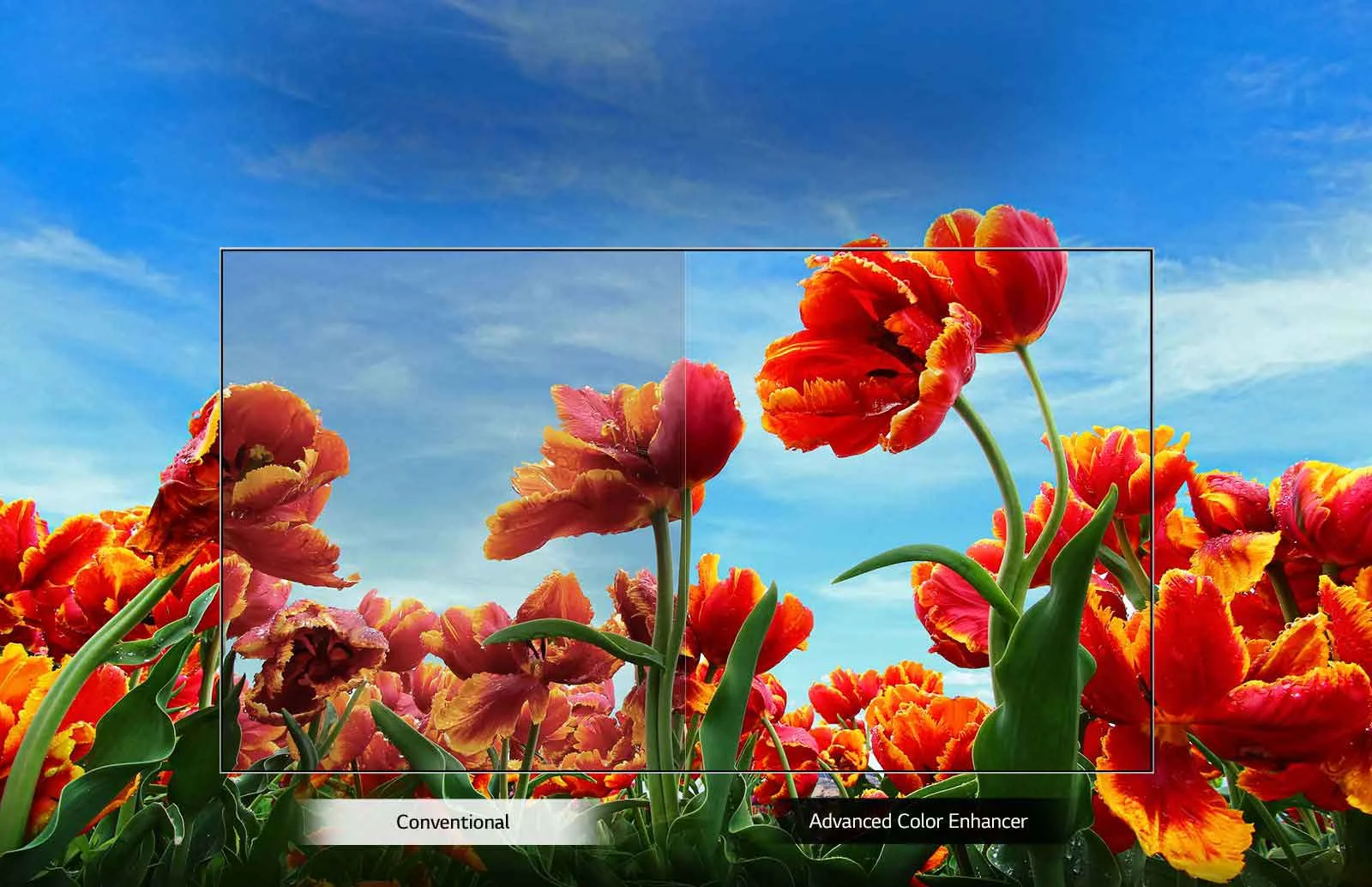 تلویزیون 43 اینچ ال جی FULL HD مدل 43LM6370 قیمت و خرید در سایت بانه کادو