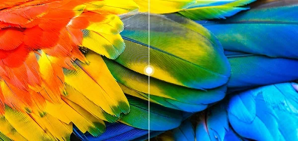تلویزیون 55 اینچ شیاومی P1 مدل MI TV P1 55 اسمارت